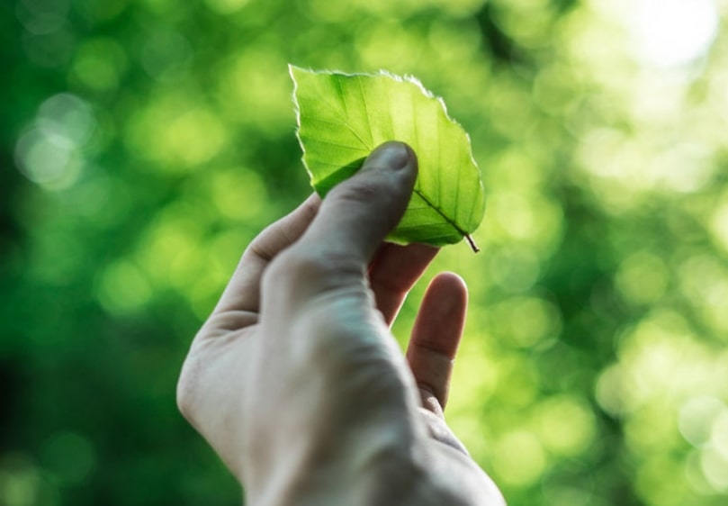 Gestão Sustentável Ambiental